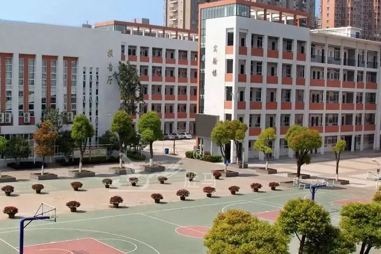 定向天线是否适用于背包式无线频率干扰仪(图1)